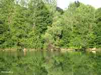 summer 2012 09.jpg
